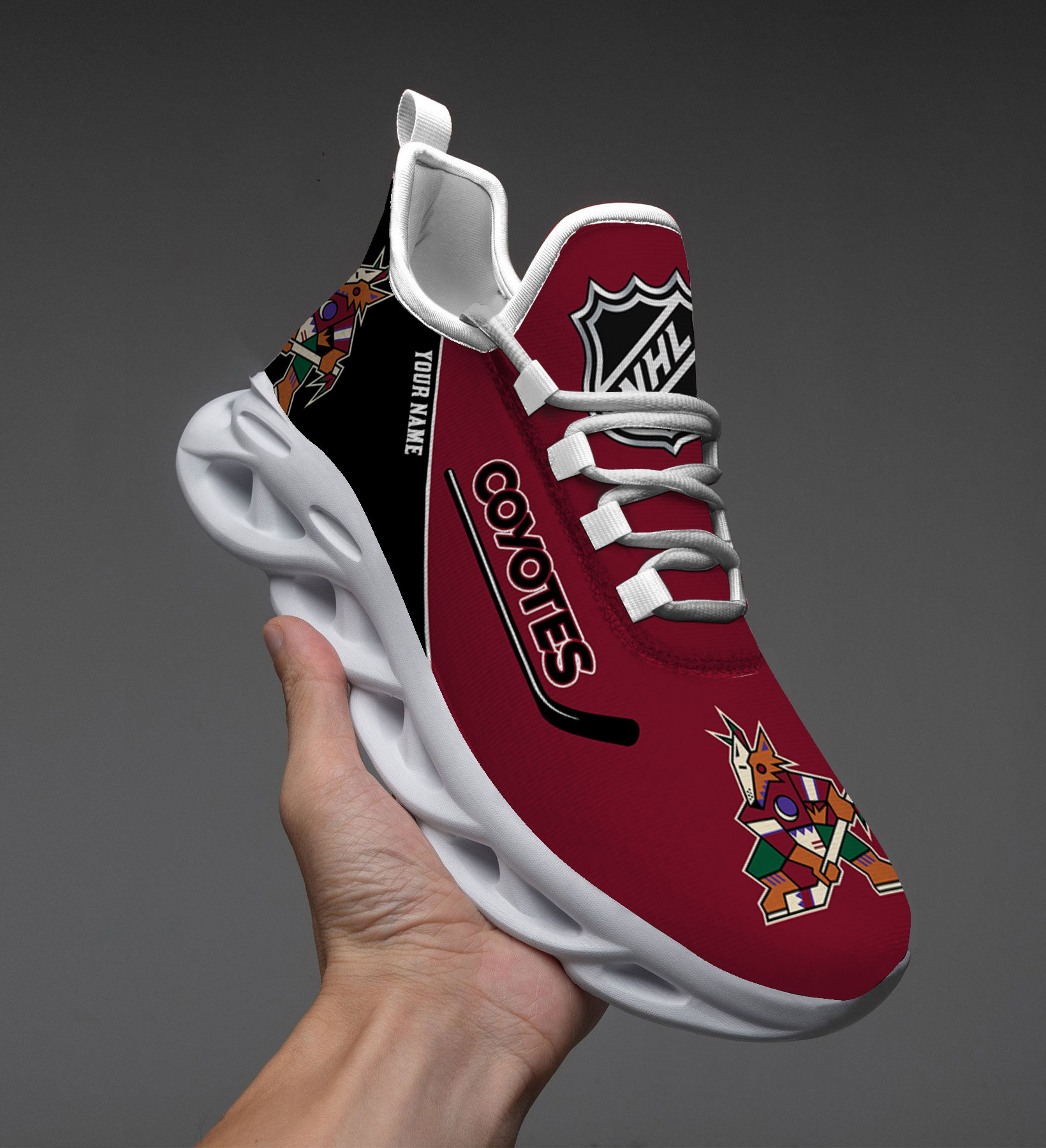 South Carolina Gamecocks TN Shoes DS001